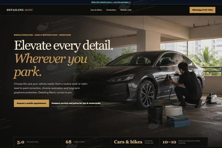 Detailing Manic website preview