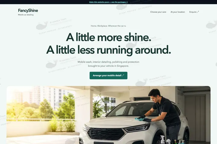 FancyShine Mobile Car Detailing website preview