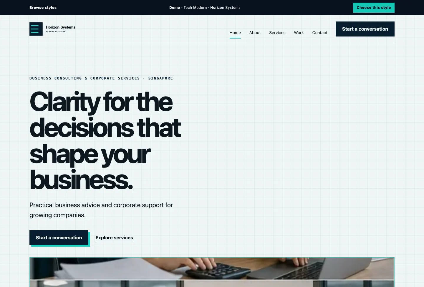 Horizon Systems Panorama Story website preview