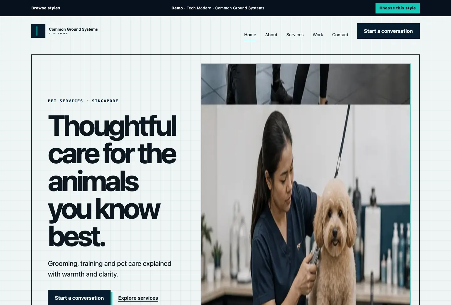 Common Ground Systems Studio Canvas website preview